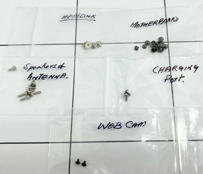 Microsoft Surface Pro 7 1866 Screws for Motherboard, Heatsink, Antenna, Speakers - Image 1 of 4