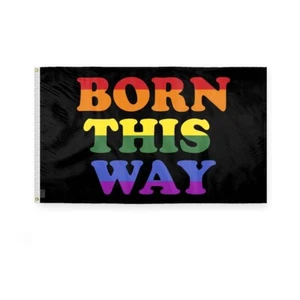 Born this Way Flagge - einseitig bedruckt - Messing Ösen - verblassende Farben - Bild 1 von 15