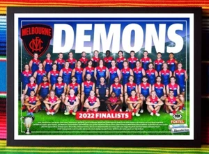 Framed 2022 MELBOURNE DEMONS AFL Finalists Poster - 84cm x 59.5cm x 3cm - Picture 1 of 4