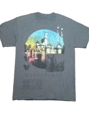 Camiseta Hanes Mediana Parques Disney Auténtica y Original Foto 1 de 3