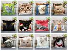 Cat Pattern Real Animal Home Decor Pillowcase Pillow Covers Decorative