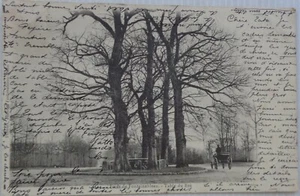 FONTAINEBLEAU 77 cpa Forêt de Fontainebleau Bon Etat 1903 - Picture 1 of 2