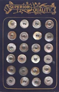 VINTAGE "WAUBEKA SUPERIOR QUALITY"~24 ABALONE SHELL BUTTON CARD~IRIDESCENT GRAY - Picture 1 of 5