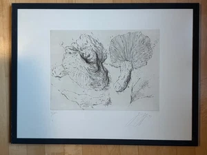 Günter Grass, Lithographie, Pilze, 4/100, handsigniert  - Bild 1 von 4