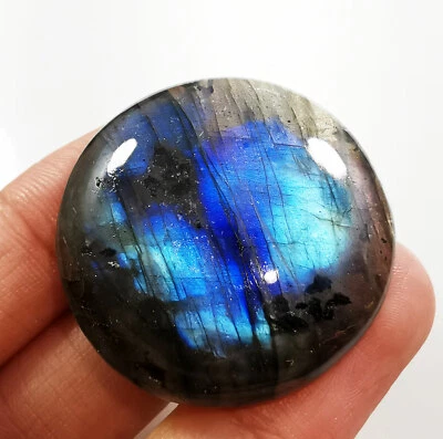 72.60 Ct Natural Black Labradorite Malti Blue Fire Cabochon Loose Gemstones  - Image 1 of 4