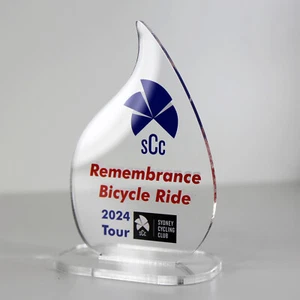 ACRYLIC COLOUR TROPHY AWARD CUSTOM DESIGNED FOR CYCLING BICYCLE SPORTS - Picture 1 of 3