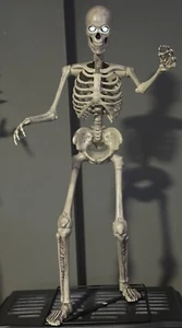 NEW - Home Depot 3 FT. LED Skeleton Home Accents 12Ft Replicate) GRAVE & BONES - Picture 1 of 9