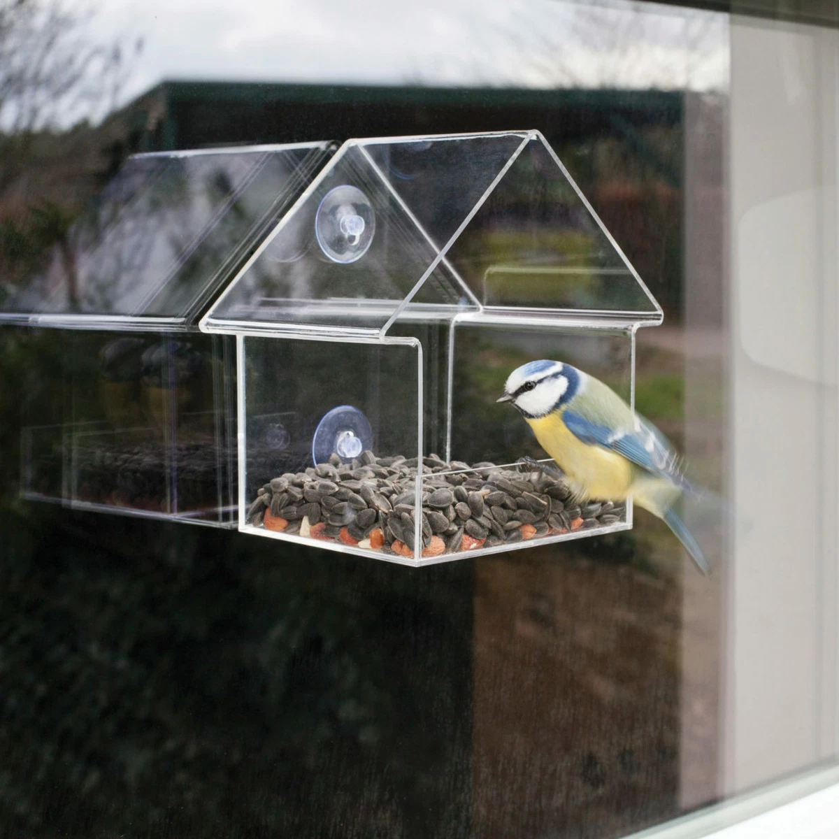 Redwood BB-BF111 Vogelfutterstation Fürs Fenster – Plexiglas, Mit Saugnapf, Zum Aufhängen