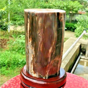 6.52Lb Natural Pertrified Wood fossil Polishing Specimen China+stand  x321 - Picture 1 of 9