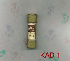 NUEVO BUSSMAN TRON KAB1 FUSE KAB 1 250 VOLTIOS 1 AMPERIO - Imagen 1 de 3
