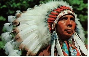 INDIAN CHIEF - PC5666 - Imagen 1 de 2