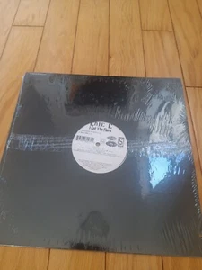 Eric C – I Got The Flava - 12-inch vinyl single - 1995 - new, sealed - Imagen 1 de 1