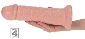 fallo anale realistico pene finto vaginale dildo grosso maxi xl sexy con ventosa - Foto 1 di 6