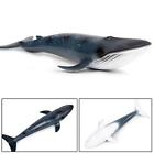Sea Animal Figure Blue Whale Toy Desktop Decoration Toy Educational Whale