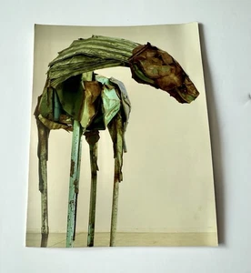Tarjeta De Colección Deborah Butterfield Artista Firmada a Mano Caballo de Acero 1988 - Imagen 1 de 11