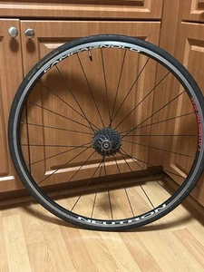 Ruota Posteriore Asimmetrica Campagnolo Neutron 700c 24H Chorus Cassetta 10 Velocità 11-25 - Foto 1 di 16