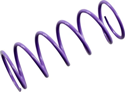 Embrague de transmisión primaria EPI púrpura resorte para Polaris Sportsman 700 2002-2006 ATV Foto 1 de 2