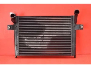 JEEP GRAND CHEROKEE II WJ, WG Ladeluftkühler 52079970AA 2004 25959542 - Bild 1 von 12