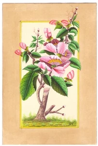 Hand Miniature Painting Of Beautiful Flower Fine Vintage Art On Paper 6x9 Inches - Picture 1 of 6