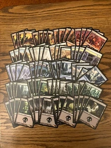 Ravnica Basic Land Lote x80 Magic the Gathering Ravnica Basic Land 4x Cada Arte LP - Imagen 1 de 1