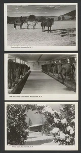 Cornwall Mountainville NY: Three 1940s-50s RPPC Photo Postcards VIADUCT & MORE - Picture 1 of 2