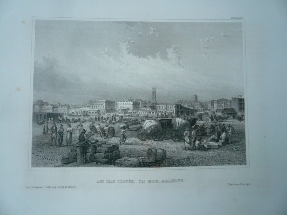 New Orleans, steelengraving, anno 1860, Bibliographisches Institut - Image 1 of 1