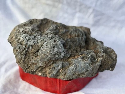 Piedra SUISEKI 7 pulgadas de ancho visión natural roca japonesa B Foto 1 de 2