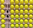 36 Aaaaa Mint Titleist Pro V1x (2023/2024 Yellow) Excellent 5A Prov1x Golf Balls