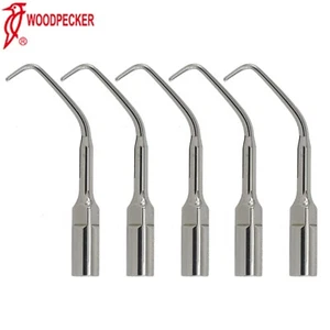 5 PIEZAS Puntas Escalador Dental Ultrasónico Original Pájaro Carpintero Canal Raíz Endo EMS E10 - Imagen 1 de 9