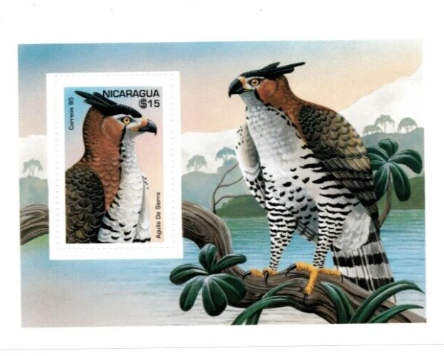 Nicaragua 1995 - Pájaro halcón - Hoja de estampillas de recuerdo - Scott #2112 - MNH Foto 1 de 1