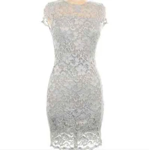Vestido Vaina BELLE Badgley Mischka Platino Manga Casquillo Encaje Talla 2 Regalo - Imagen 1 de 6