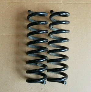 Muelles de suspensión trasera BMW Serie 3 F31 Estate - Imagen 1 de 2