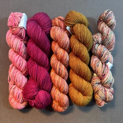 Пряжа с пальцами KOIGU KPM & KPPPM 100% шерсть мериноса 175 ярдов - ассортимент лот 5 мотков - Изображение 1 из 2