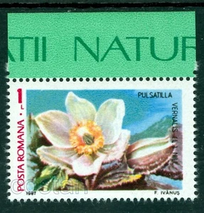 1987 Spring Pasque Flower/Pulsatilla vernalis,Protected Flowers,Romania,MNH - Picture 1 of 1