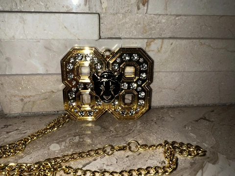 Chicago White Sox Luis Robert 88 La Pantera Chain Necklace SGA 7/9/22 Cover