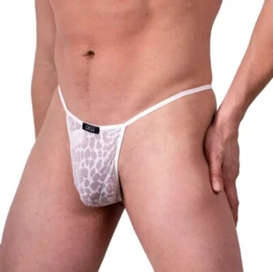XS Gregg Homme Appeal G-String 103014 1 - Picture 1 of 5
