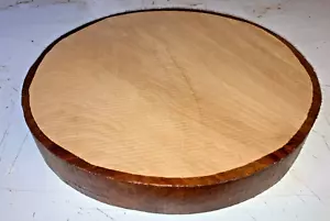 390X50MM LOT 38A LONDON PLANE DRECHSELHOLZ ROHLING - Bild 1 von 1