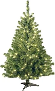 4 Fuß Pre-Lit Künstlicher Weihnachtsbaum Grün Kincaid Fichte Weiß Lichter/Ständer - Bild 1 von 7