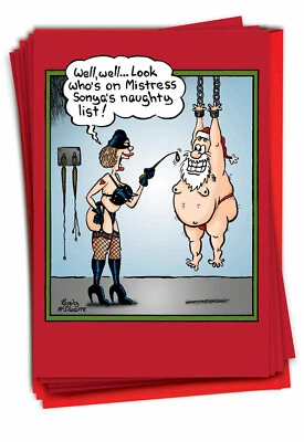 12 Funny Merry Christmas Cards (1 Design, 12 Cards) - Mistress B5770 - Image 1 of 4