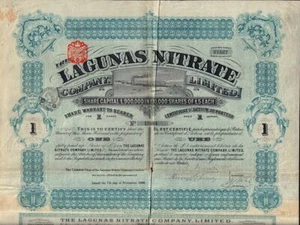 CHILE  GB / UK - Lagunas Nitrate dd 1906 with 16 div.-coupons + 1 talon - Picture 1 of 1