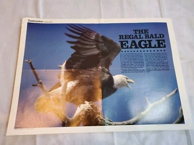 Vintage 80s 1983 Bald Eagle Instructor Series Educational Poster Wall Art 21x15 - Image 1 of 4