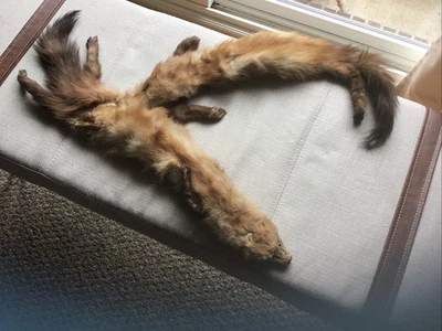 Cuello completo de piel de piel de 2 pieles genuinas vintage Foto 1 de 4