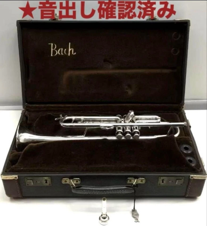 Bach Stradivarius 180ML37SP Tromba Argento Bb Key 180ML 37SP 180 ML 37 SP JP - Immagine 1 di 4