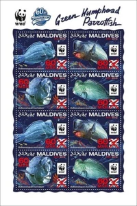 WWF 60th Parrotfish Fish Red Overprint MNH 8v-Stamp Sheet #3 2021 Maldives - Picture 1 of 1