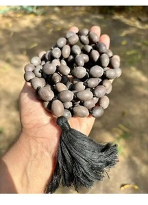 Semilla de Loto KAMAL GATTA Original Mala ROSARIO 108 Cuentas 68 pulgadas Cuentas de Oración Negro - Imagen 1 de 3