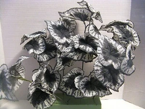 Ashland Halloween Deluxe Bush Grey-White Leaves (10 Stems) NWT - Picture 1 of 4