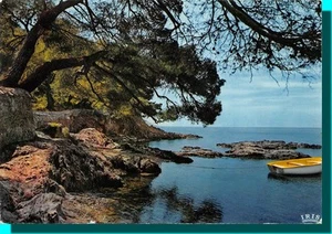 CPM - Sanario Sobre el mar los bosques de coníferas Zur -rifer das Mediterranean - Imagen 1 de 2