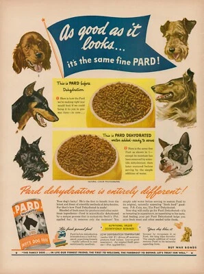 1944 Pets Puppy Dog Food Pard 1940s Vintage Print Ad Canned Doggie Food Treat - Image 1 of 4