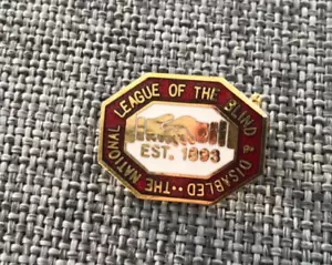 THE NATIONAL LEAGUE OF THE BLIND AND DISABLED ENAMEL PIN BADGE - Picture 1 of 2