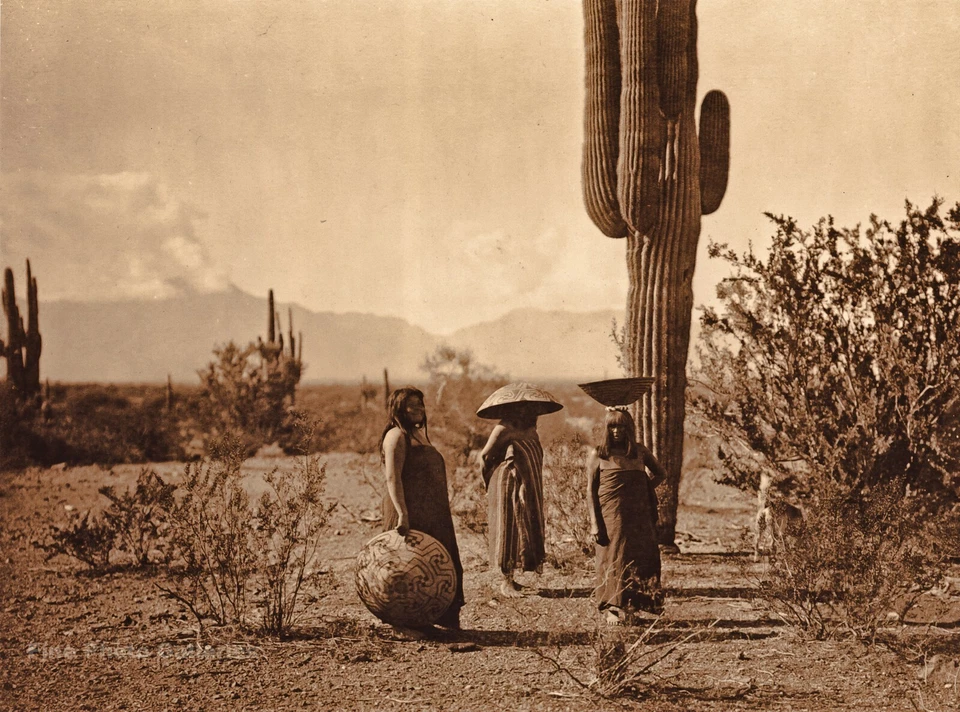 1990 Винтажный EDWARD CURTIS американских индейцев женщин кактус золотистый фото искусства 12 x 16 - Изображение 1 из 1